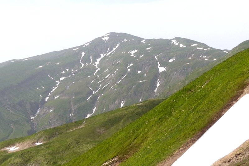 Pseudorchis albida e la variante tricuspis nel Parco nazionale del Gran Sasso e Laga